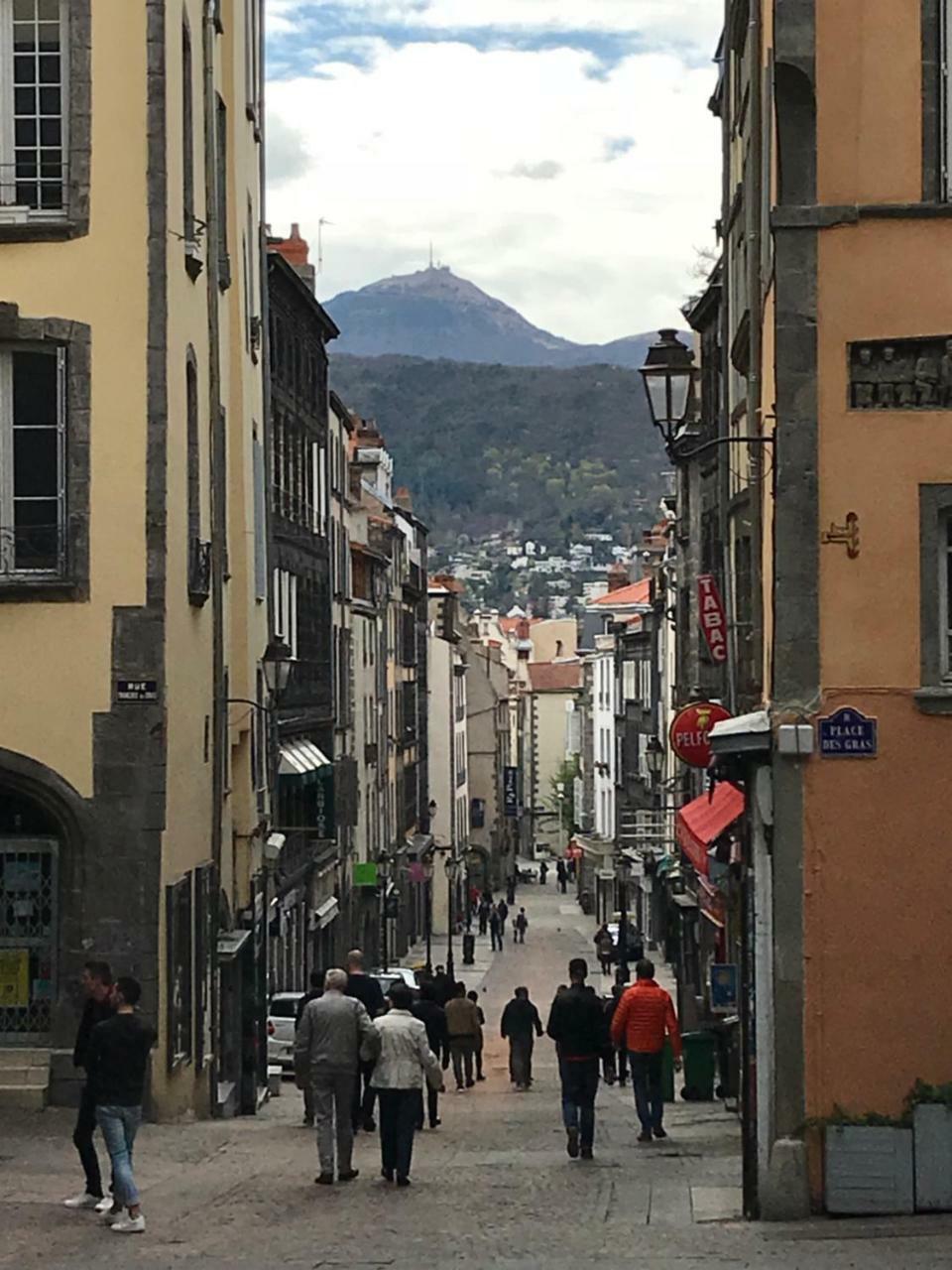 Esprit Cosy Sur Plateau Central Clermont-Ferrand Eksteriør billede